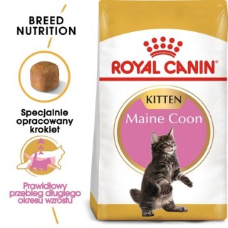 Royal Canin Feline Royal Canin Maine Coon Kitten karma sucha dla kociąt, do 15 miesiąca, rasy maine coon 2kg