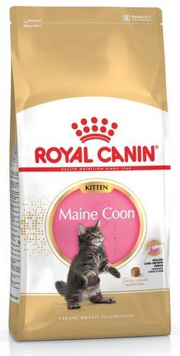 Royal Canin Feline Royal Canin Maine Coon Kitten karma sucha dla kociąt, do 15 miesiąca, rasy maine coon 2kg