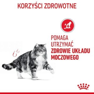 Royal Canin Feline Royal Canin Urinary Care karma mokra w sosie dla kotów dorosłych, ochrona dolnych dróg moczowych saszetka 85g