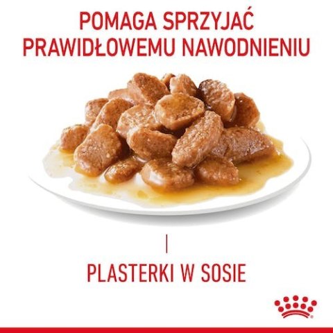 Royal Canin Feline Royal Canin Urinary Care karma mokra w sosie dla kotów dorosłych, ochrona dolnych dróg moczowych saszetka 85g