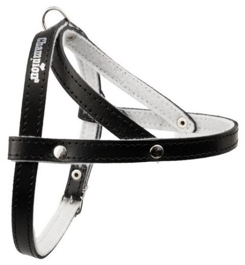 Champion Champion Szelki 40 czarne [SD]