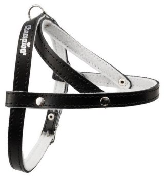 Champion Champion Szelki 50 czarne [SD]