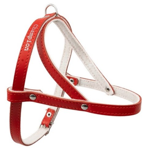 Champion Champion Szelki 60 czerwone [SD(R)]