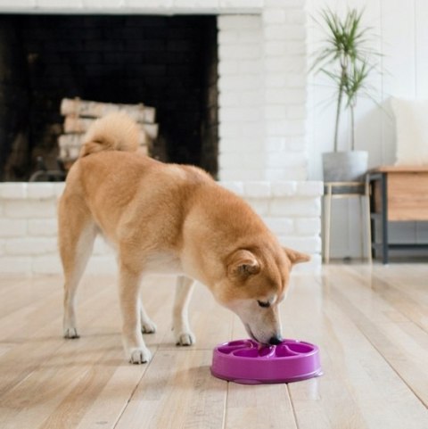 Outward Hound Outward Hound Fun Feeder Mini Miska spowalniająca fioletowa [51005]