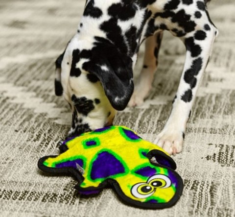 Outward Hound Outward Hound Invincibles Gecko green 2 piszczałki [32070]