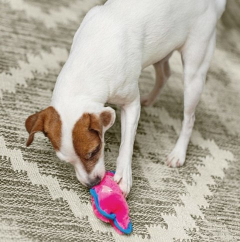 Outward Hound Outward Hound Invincibles Minis Pig [32013]