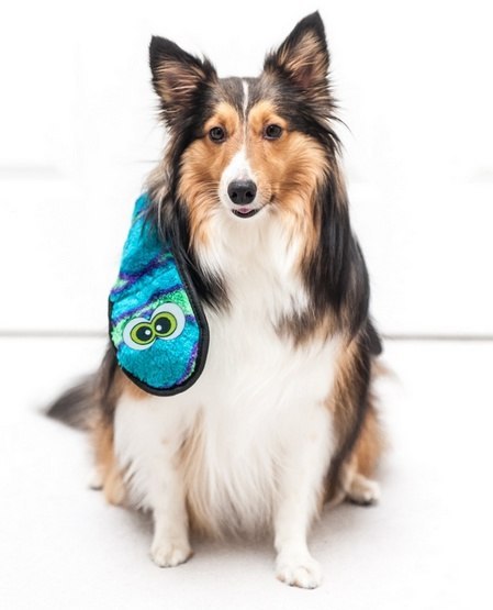 Outward Hound Outward Hound Invincibles Snake blue/green 3 piszczałki [32067]