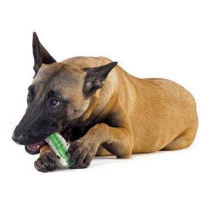 Petstages Petstages CrunchCore medium PS265