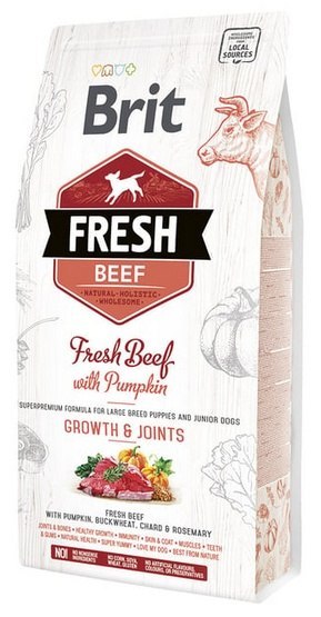 Brit Brit Fresh Dog Puppy Large Beef & Pumpkin 2,5kg