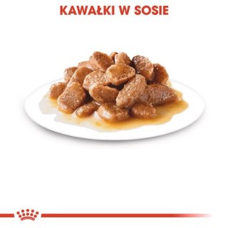 Royal Canin Size Royal Canin Mini Ageing karma mokra w sosie dla psów dojrzałych po 8 roku życia, ras małych saszetka 85g