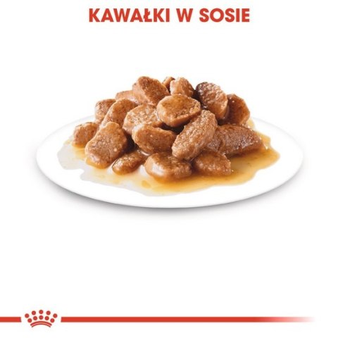 Royal Canin Size Royal Canin Mini Ageing karma mokra w sosie dla psów dojrzałych po 8 roku życia, ras małych saszetka 85g