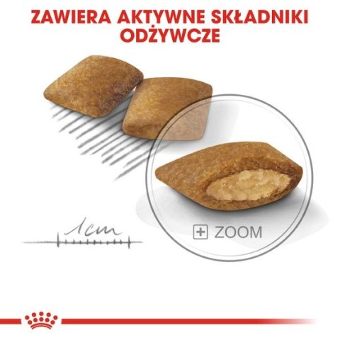 Royal Canin Size Royal Canin Mini Exigent karma sucha dla psów dorosłych, ras małych, wybrednych 3kg