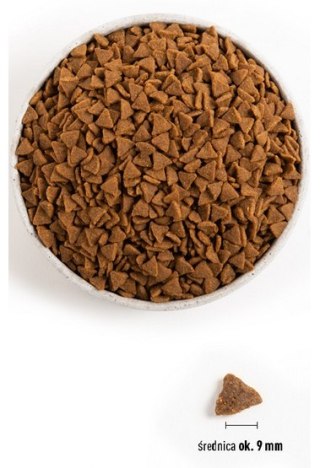 Acana Acana Bountiful Catch Cat & Kitten 1,8kg
