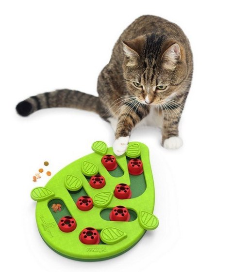 Outward Hound Nina Ottosson Cat Buggin' Out Puzzle & Play - gra edukacyjna dla kotów
