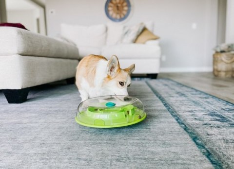 Outward Hound Nina Ottosson Wobble Bowl - gra edukacyjna [69344]