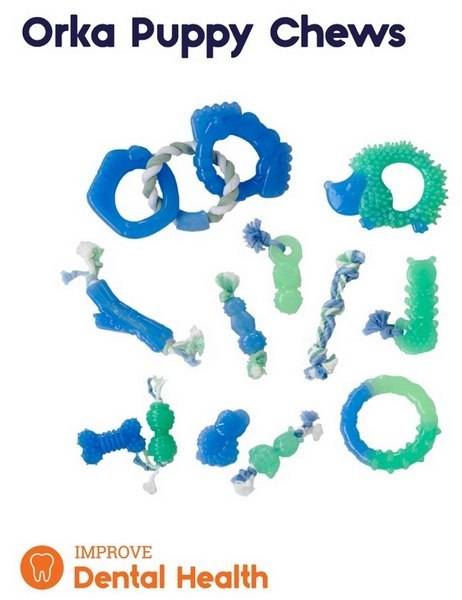 Petstages Petstages Grow With Me Ring PS68028