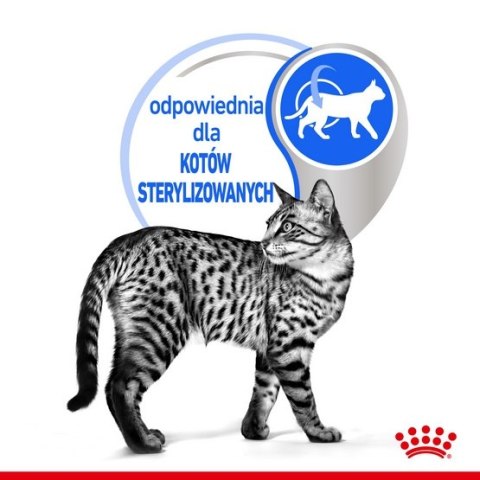 Royal Canin Feline Royal Canin Indoor Sterilised Jelly karma mokra dla kotów dorosłych sterylizowanych, przebywających w domu saszetka 85g