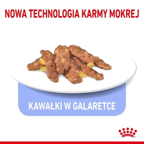 Royal Canin Feline Royal Canin Indoor Sterilised Jelly karma mokra dla kotów dorosłych sterylizowanych, przebywających w domu saszetka 85g