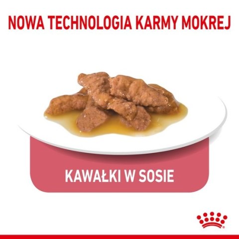 Royal Canin Feline Royal Canin Indoor Sterilised sos karma mokra dla kotów dorosłych sterylizowanych, przebywających w domu saszetka 85g