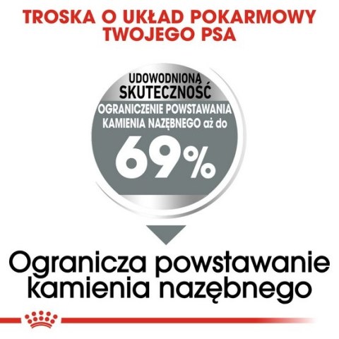 Royal Canin Size Royal Canin Mini Dental Care karma sucha dla psów dorosłych, ras małych, redukująca powstawanie kamienia nazębnego 1kg