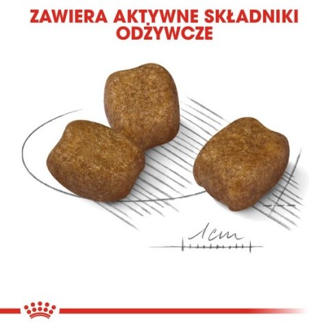 Royal Canin Size Royal Canin Mini Dental Care karma sucha dla psów dorosłych, ras małych, redukująca powstawanie kamienia nazębnego 1kg