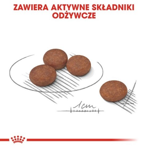 Royal Canin Size Royal Canin Mini Digestive Care karma sucha dla psów dorosłych, ras małych o wrażliwym przewodzie pokarmowym 1kg
