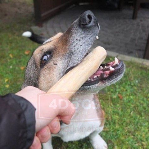 4DOGS 4DOGS Gryzak z drzewa kawowego XL