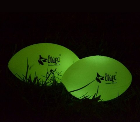 Dingo Dingo Zabawka dla psa - Piłka świecąca Play & Glow 14x8cm