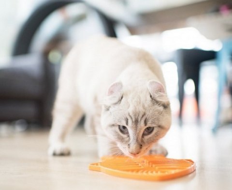 LickiMat LickiMat Classic Casper Rybka paski miękka pomarańczowa
