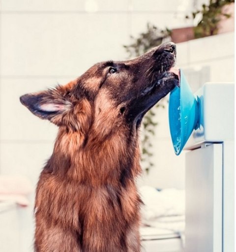 LickiMat LickiMat Splash miska z przyssawką turkusowa