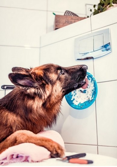 LickiMat LickiMat Splash miska z przyssawką turkusowa