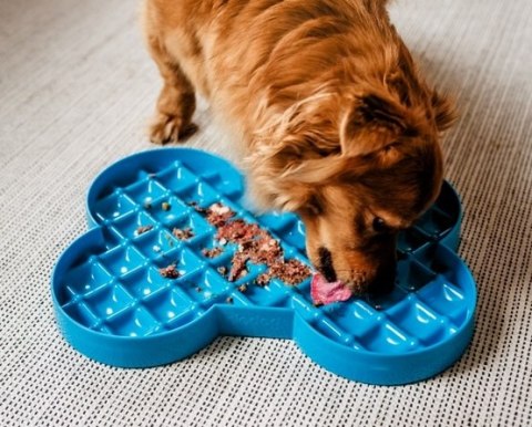 SloDog SloDog Slow Feeder Plate Miska spowalniająca duża kość turkusowa