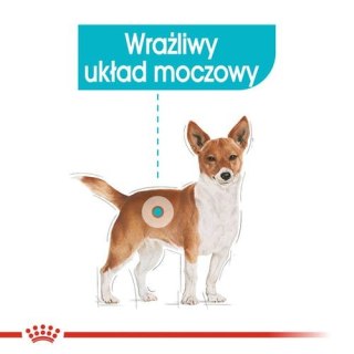 Royal Canin Linia Weterynaryjna Royal Canin Urinary Care karma mokra dla psów dorosłych, wszystkich ras, wspierająca układ moczowy, pasztet saszetka 85g