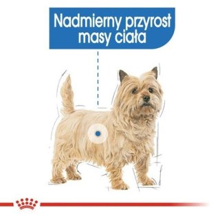 Royal Canin Size Royal Canin Light Weight Care karma mokra dla psów dorosłych, wszystkich ras z tendencją do nadwagi saszetka 85g