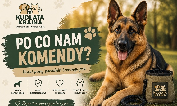 Po co nam komendy? Praktyczny poradnik dla opiekunów